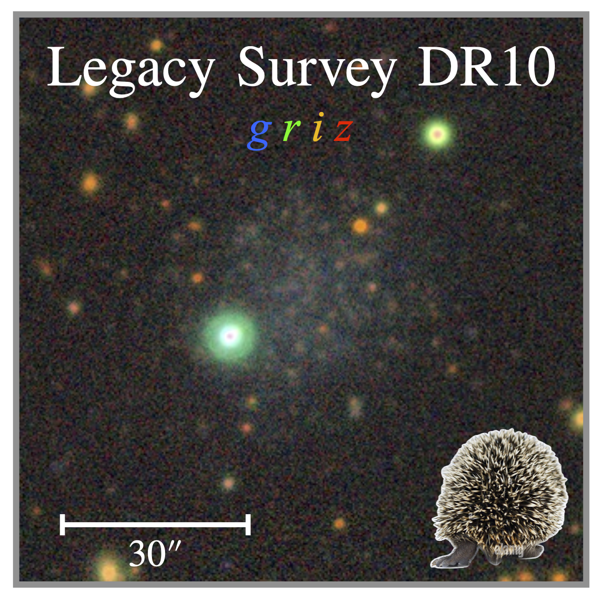 Hedgehog: an isolated quiescent dwarf galaxy at 2.4 Mpc